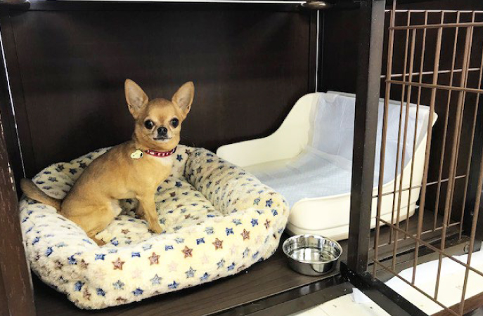 スタンダード／個室タイプ