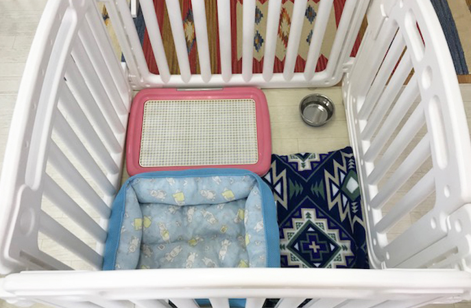 スタンダード／サークルタイプ