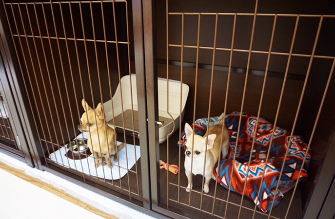 デラックス／個室タイプ