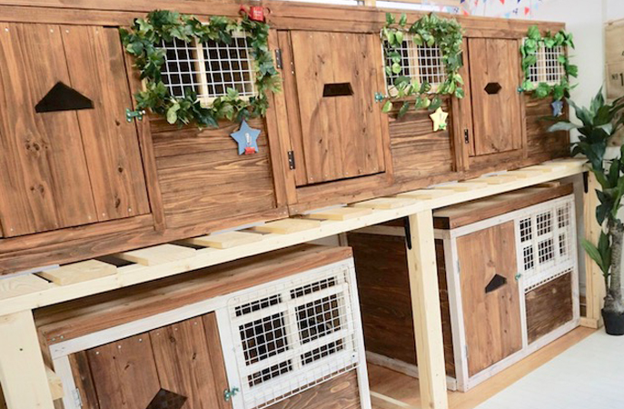 デラックス／個室ウッディタイプ