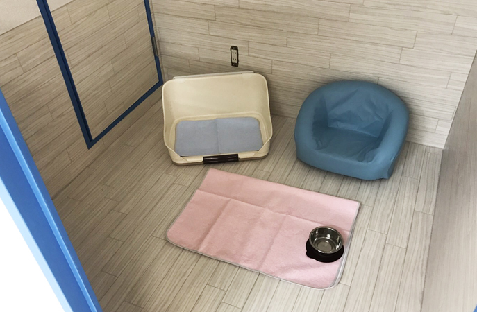 スウィートルーム／室内