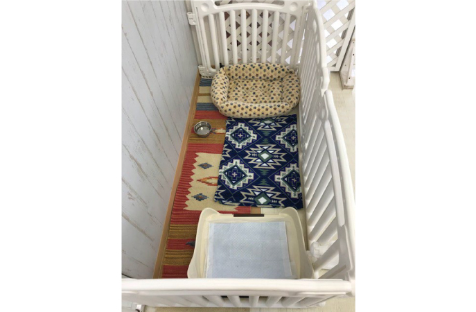 デラックス／サークルタイプ