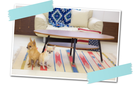 リビングのようなフリースペース