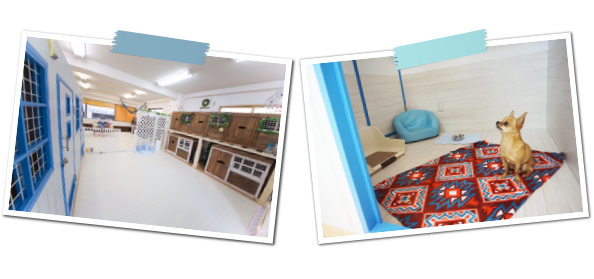 ホテルコンセプト