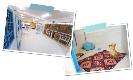 ホテルコンセプト