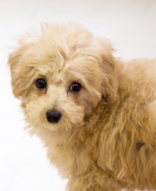 フリースペース01