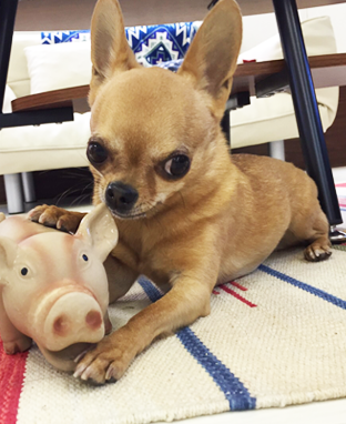 フリースペース02