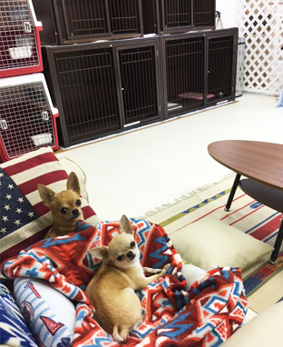 フリースペース03