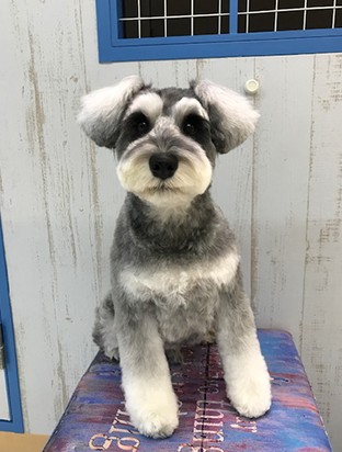 手作りフード01