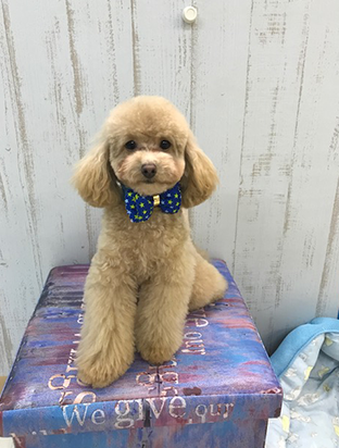 手作りフード03