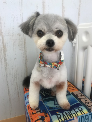 手作りフード03