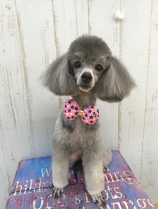 手作りフード02