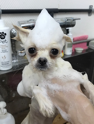 手作りフード03