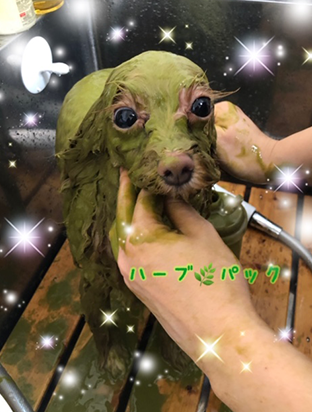 手作りフード02