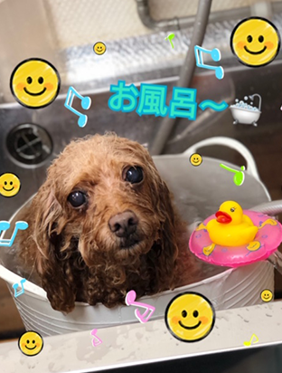 手作りフード03