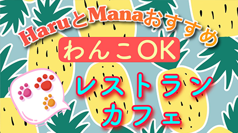 わんこと利用できるcaféやレストランをハルマナstaffが手作りファイルして別荘に置いています。