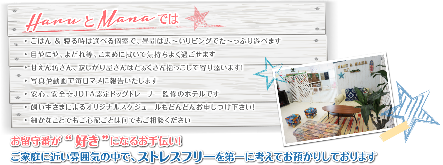 お留守番が“好き”になるお手伝い！ご家庭に近い雰囲気の中で、ストレスフリーを第一に考えてお預かりしております