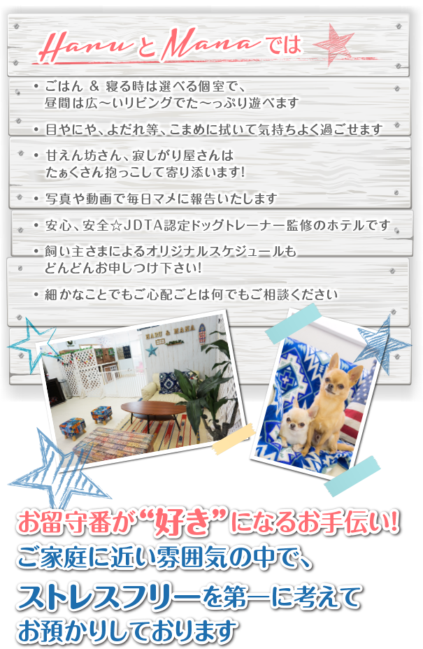 ワンコとくらし、、、